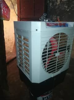 12 volt AC cooler