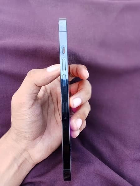 iPhone 12pro max 256gb 8