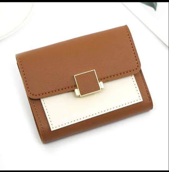 Luxury Wallet For Womens 6