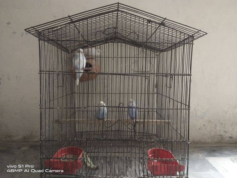 Heavy wire Metal Cage for sale 0