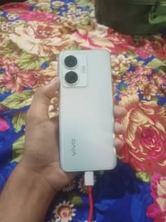 vivo y55 PTA Approved 8+8/128 GB (03195481446) Only Phone