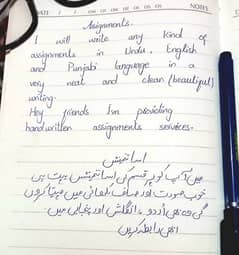 professional urdu/English assignment work in low cost.