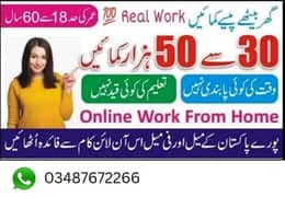 Online job at Home/Part Time/Data Entry/Typing/Assignments/Teaching 0