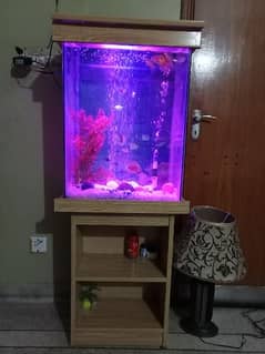 Aquarium with fish (14 days used only)