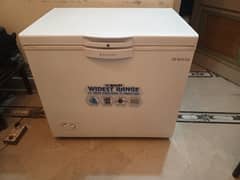 Waves company single door freezer