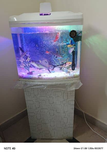 Fish Setup For Sale 0