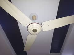 All home Ceiling Fans for sale