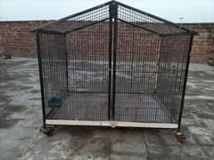birds cage and animals cage both options