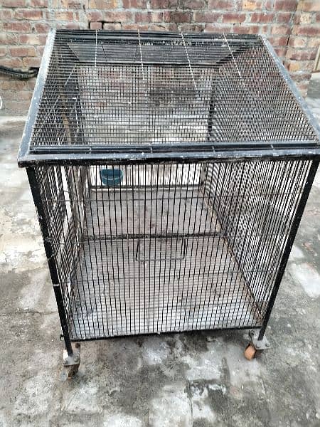 birds cage and animals cage both options 4