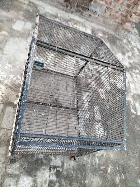 birds cage and animals cage both options 5