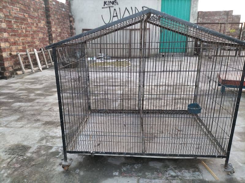 birds cage and animals cage both options 8