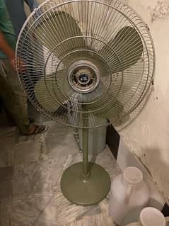 new fan