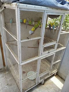 wood cage and budgies