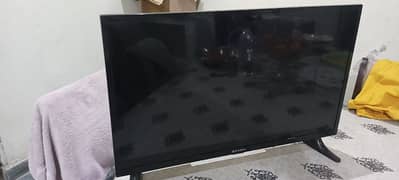 EcoStar 32" LED Without Net (Simple)