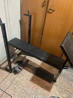 bench excercise gym