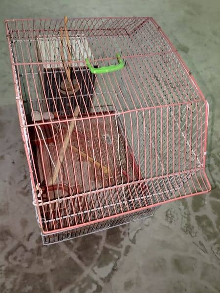 birds cage for sale with big box 1