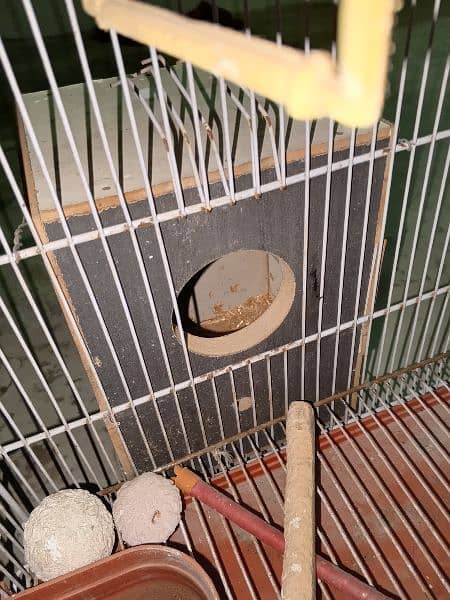 birds cage for sale with big box 2