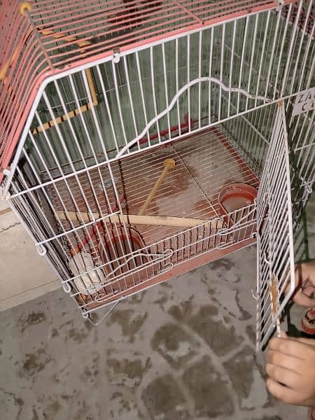 birds cage for sale with big box 4