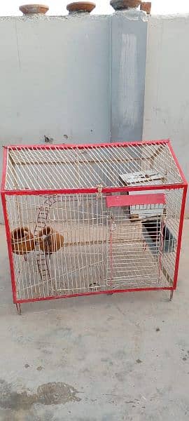 1 cage for sell size 3×3 1