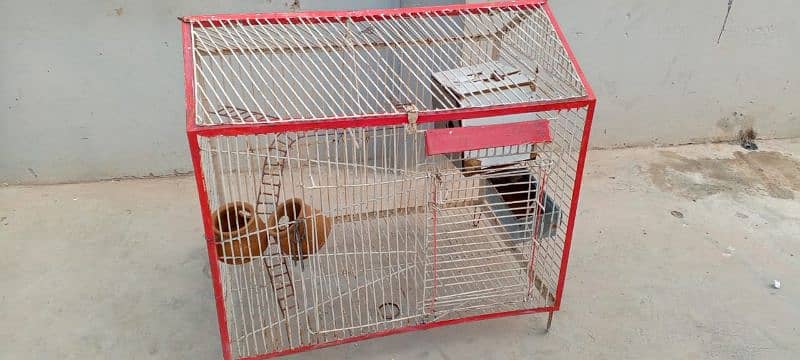 1 cage for sell size 3×3 2