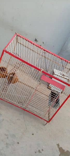 1 cage for sell size 3×3 5