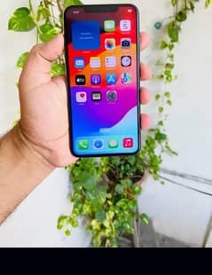 xs max 512 gb non pta 82 halt 2 day buttery timing