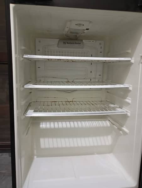 Pel Glass Door Refrigerator 10/10 1