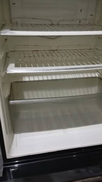 Pel Glass Door Refrigerator 10/10 2
