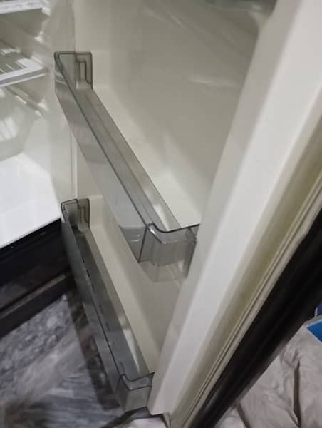 Pel Glass Door Refrigerator 10/10 10