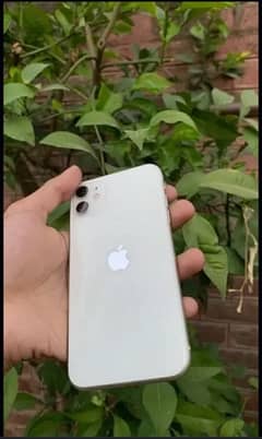iphone 11 bettry change 64 gb non pta