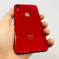iPhone xr pta approved new condition 10 by 10