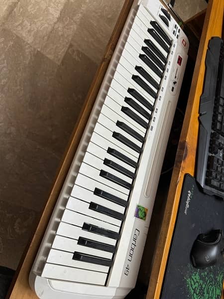 Samson C49 Carbon MIDI Keyboard 0