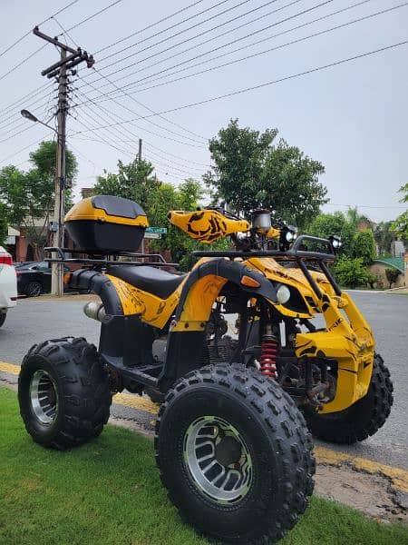 ATV Quad Bike 5