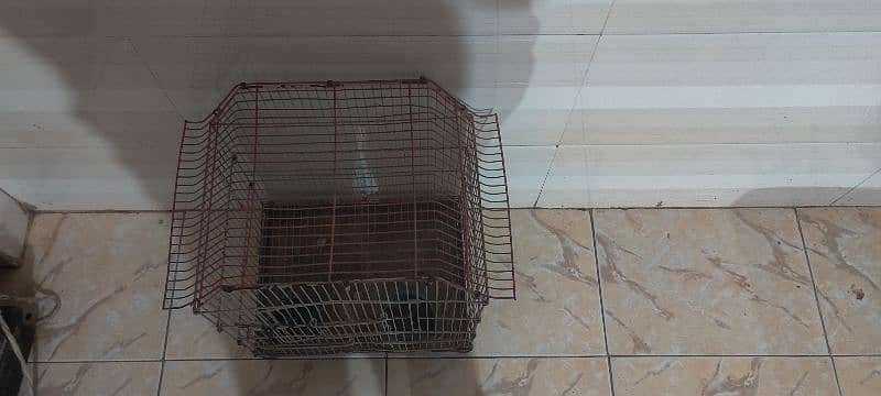 single portion birds and finch cage and Australian parrots chick cage 0