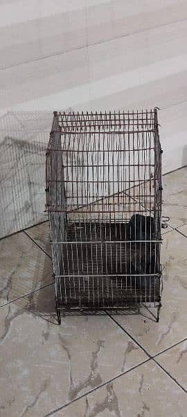 single portion birds and finch cage and Australian parrots chick cage 1