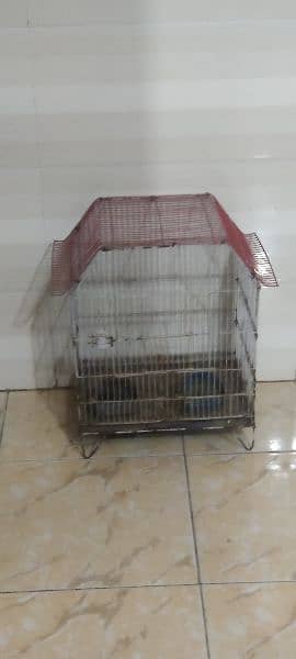 single portion birds and finch cage and Australian parrots chick cage 2