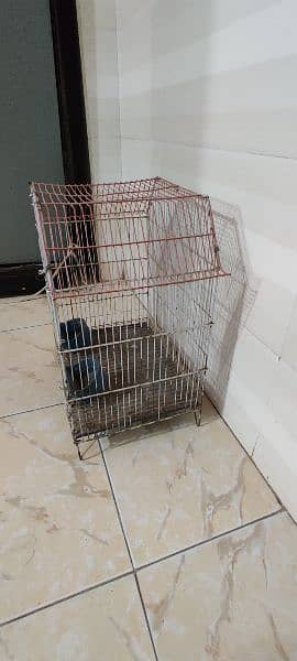 single portion birds and finch cage and Australian parrots chick cage 5