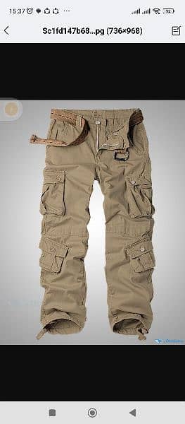 Cargo trousers 0