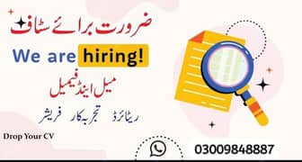 Staff Required for Office Work