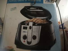 Anex chips fryer