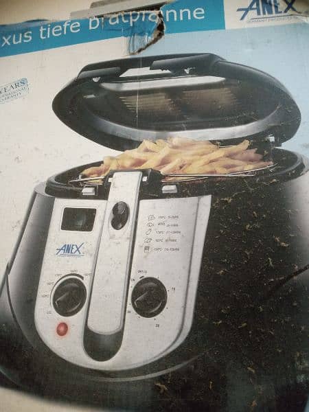 Anex chips fryer 2