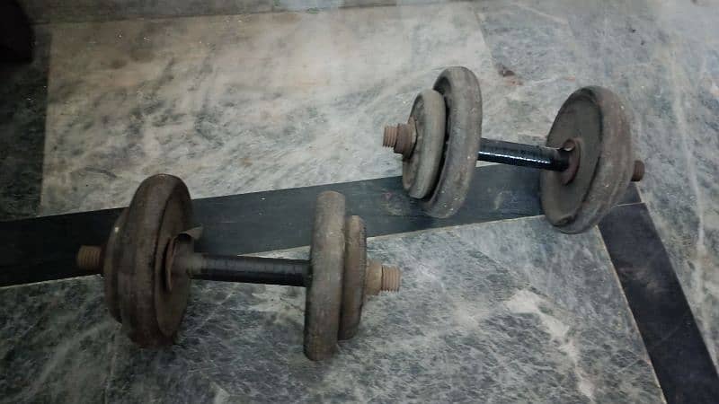 dumbbells and stand in reasonable price 1