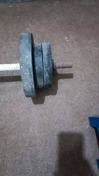 dumbbells and stand in reasonable price 3