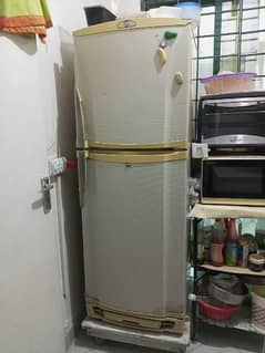 pel fridge