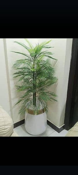 Artificial plants 0