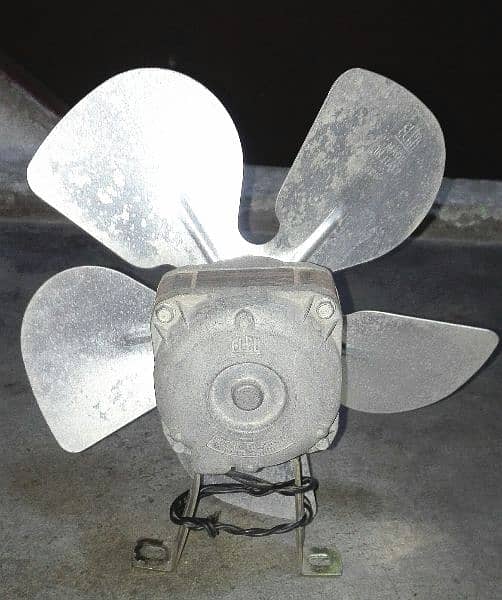 Fan For Sale 1