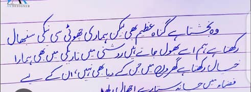 I can write Urdu assignment 0
