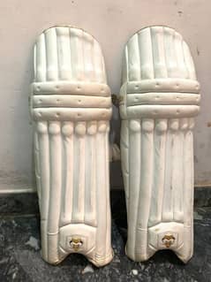 cricket batting pads