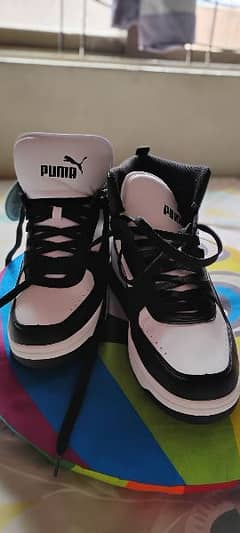 puma shoes