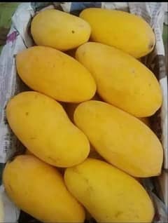 Premium Quality Mangoes|Multani Mangoes|Fresh Mangoes|summer Fruits